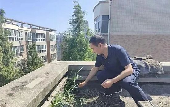 鄭州房子漏水什么原因_樓房漏水什么原因3d圖